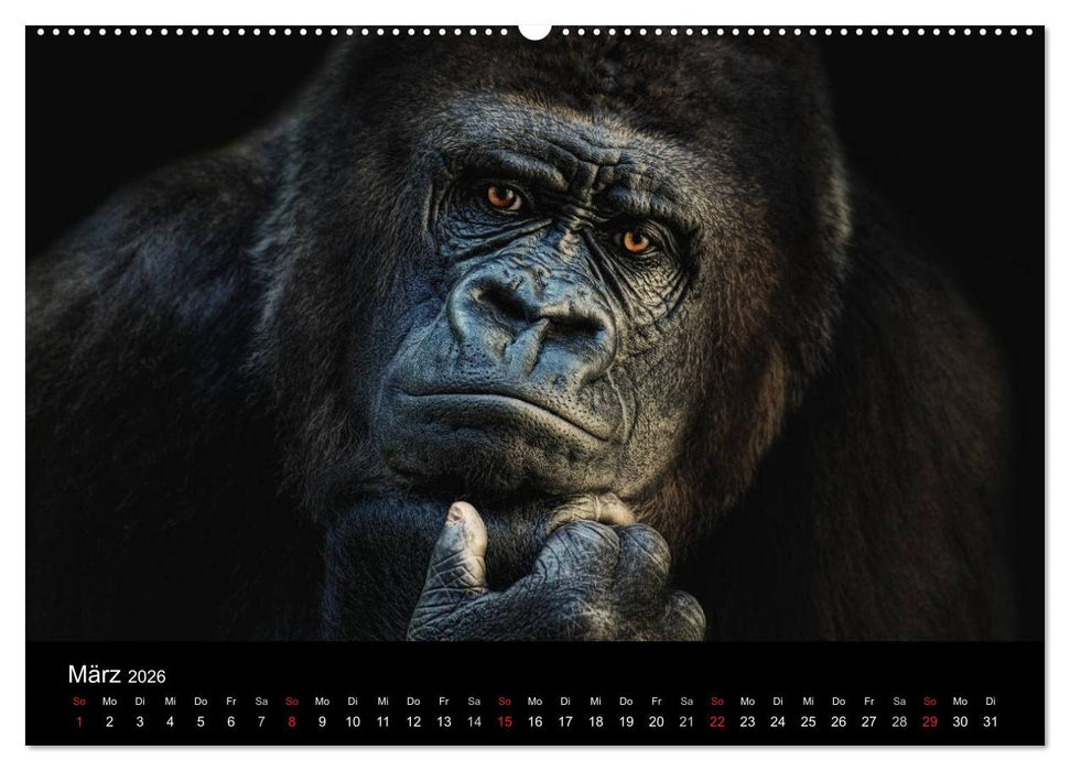 Tierisches (CALVENDO Wandkalender 2026)