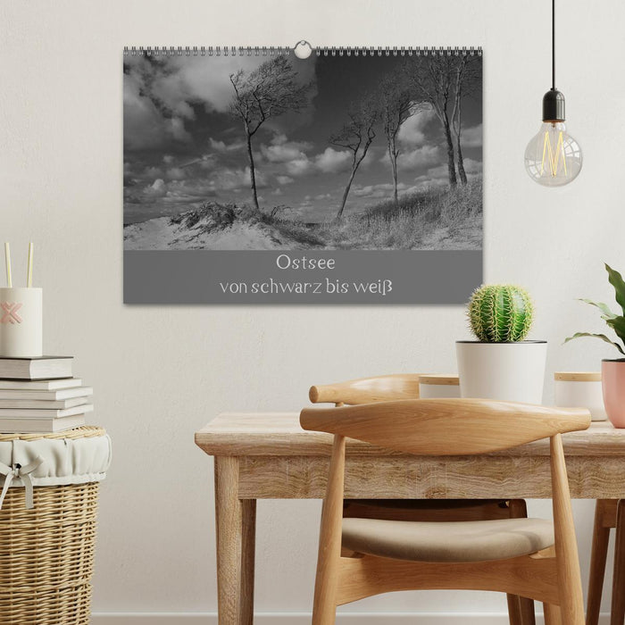 Ostsee - von schwarz bis weiß (CALVENDO Wandkalender 2026)