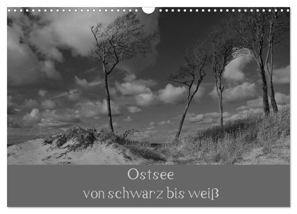 Ostsee - von schwarz bis weiß (CALVENDO Wandkalender 2026)