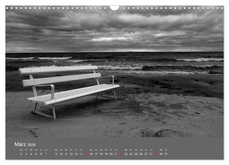 Ostsee - von schwarz bis weiß (CALVENDO Wandkalender 2026)