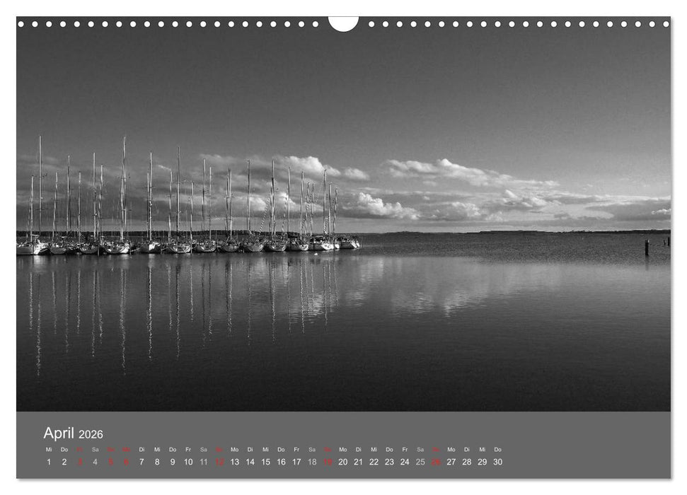 Ostsee - von schwarz bis weiß (CALVENDO Wandkalender 2026)