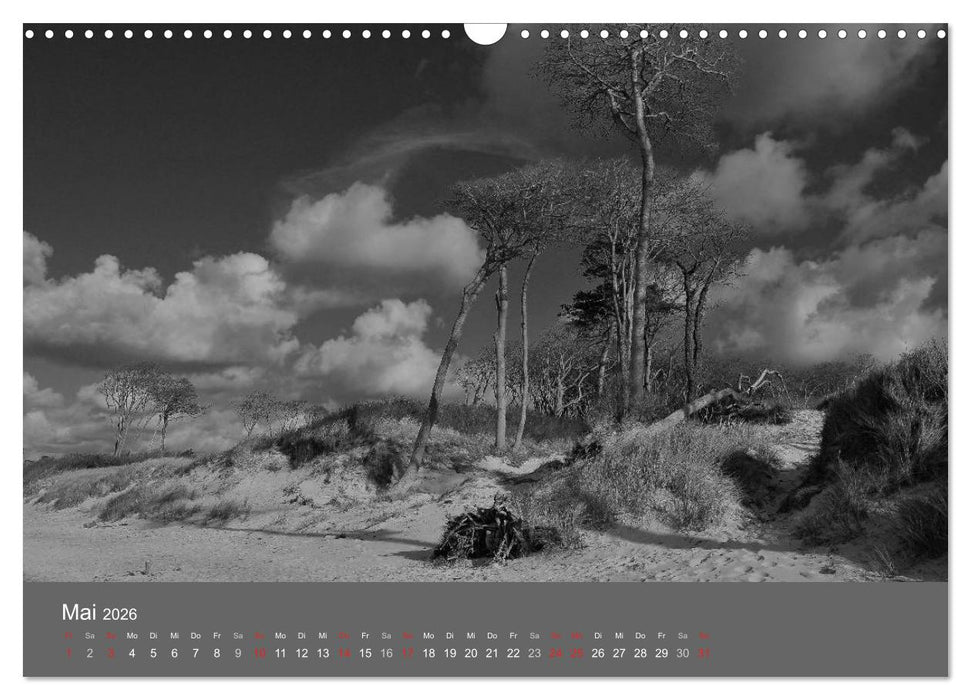Ostsee - von schwarz bis weiß (CALVENDO Wandkalender 2026)
