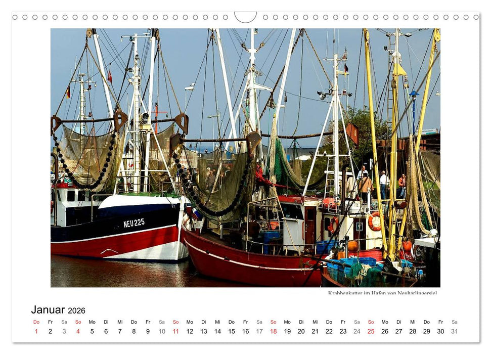 Krabbenkutter in Ostfriesland (CALVENDO Wandkalender 2026)