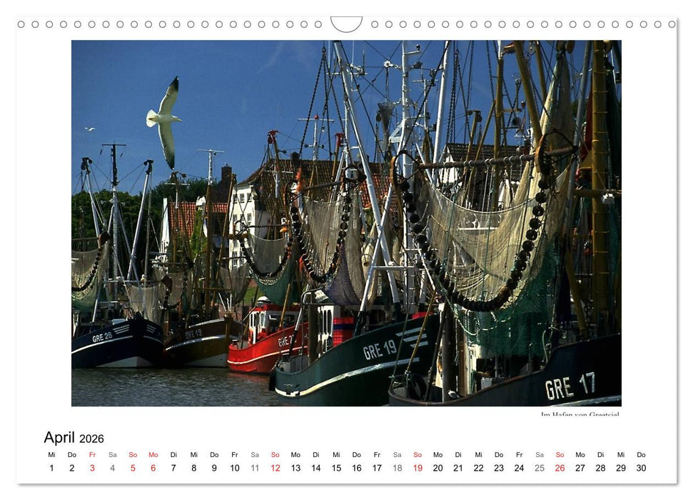 Krabbenkutter in Ostfriesland (CALVENDO Wandkalender 2026)