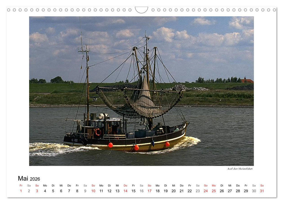 Krabbenkutter in Ostfriesland (CALVENDO Wandkalender 2026)