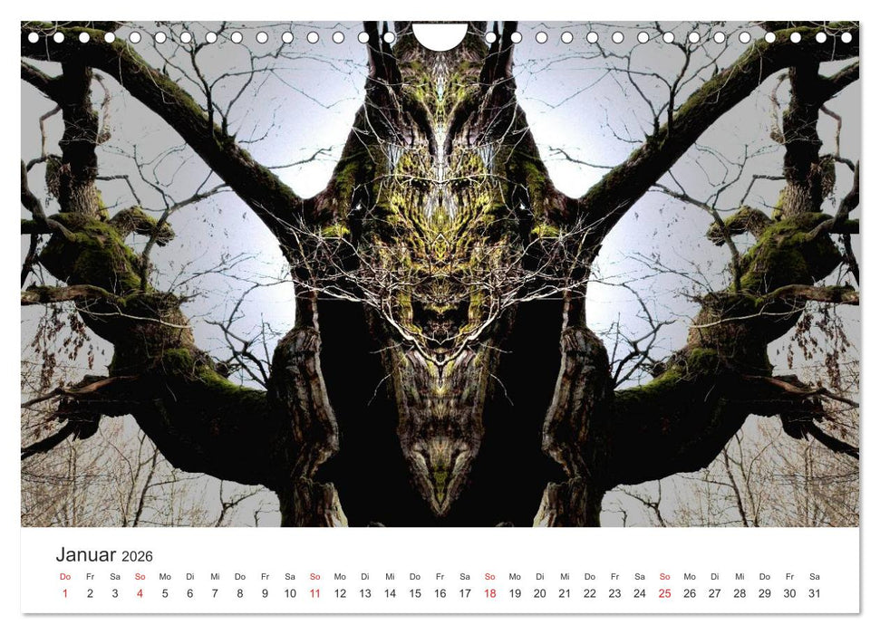 Spiegelwelten - Natur anders sehen (CALVENDO Wandkalender 2026)