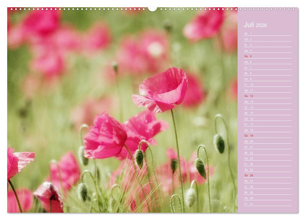 Blumenfreude (CALVENDO Premium Wandkalender 2026)