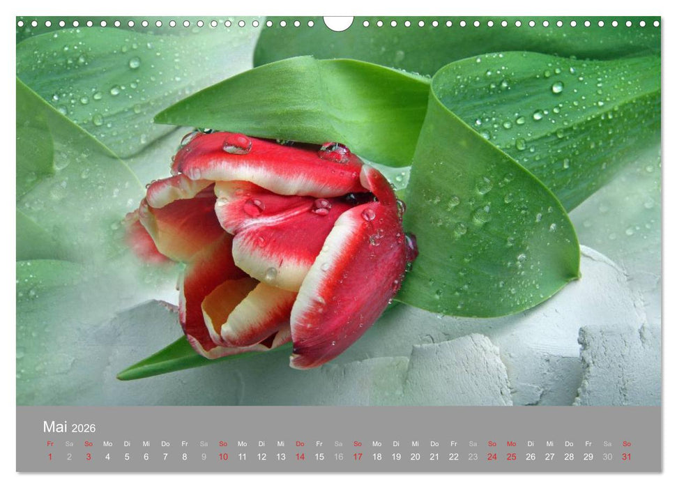 Floral (CALVENDO Wandkalender 2026)