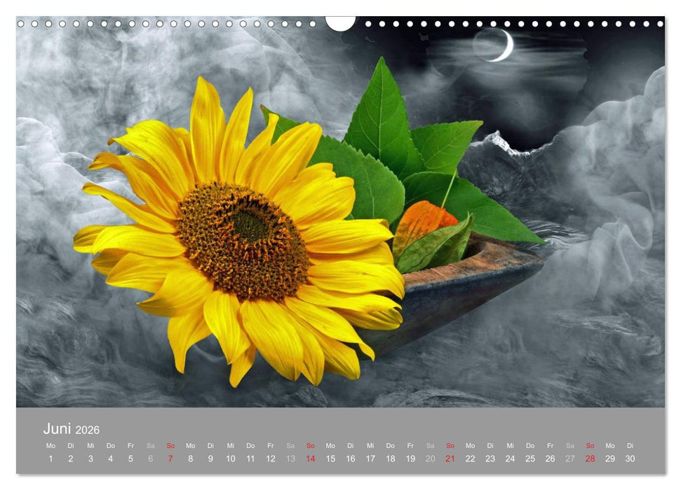 Floral (CALVENDO Wandkalender 2026)