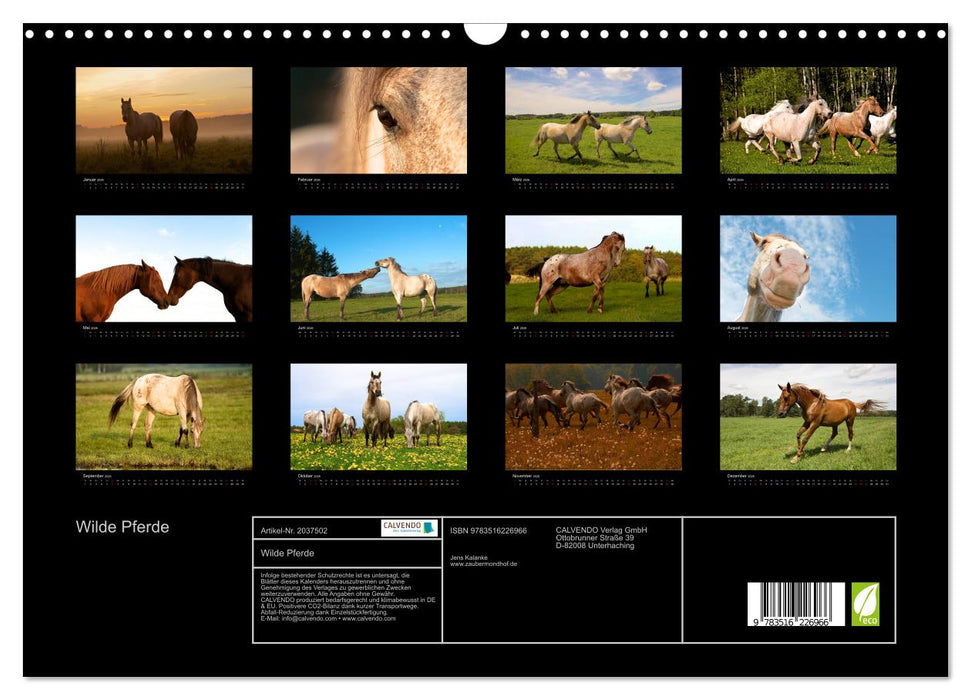 Wilde Pferde (CALVENDO Wandkalender 2026)