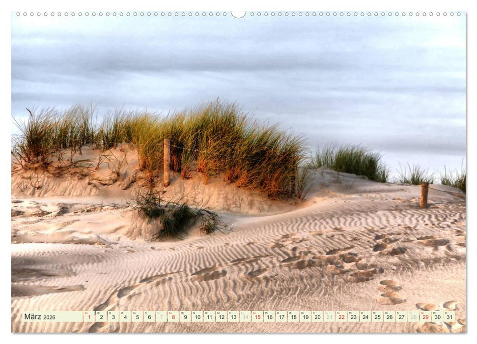 Ostsee - Impressionen (CALVENDO Premium Wandkalender 2026)