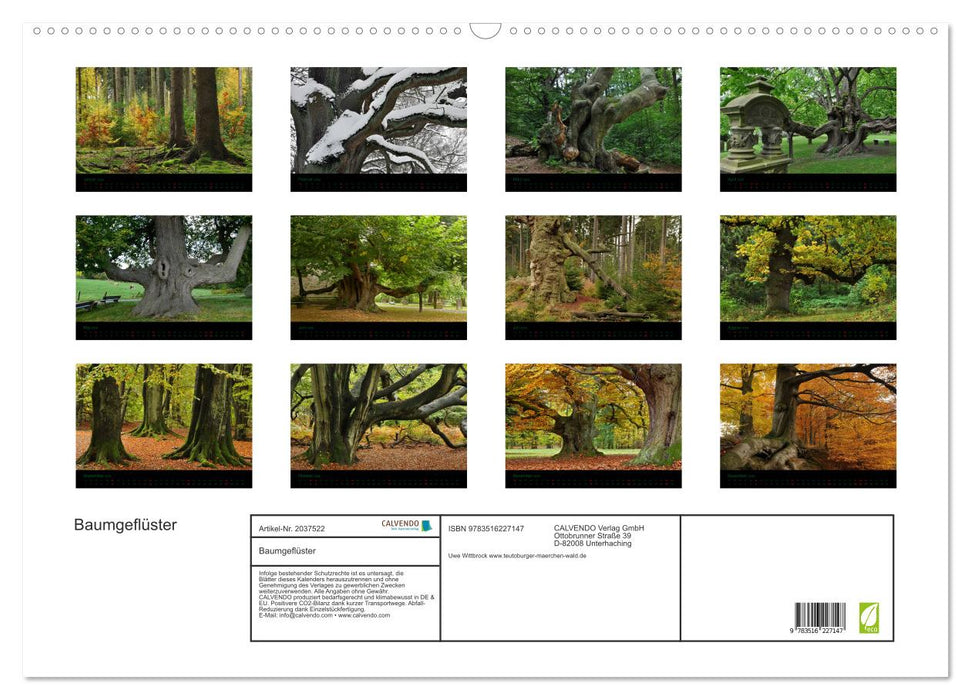 Baumgeflüster (CALVENDO Wandkalender 2026)