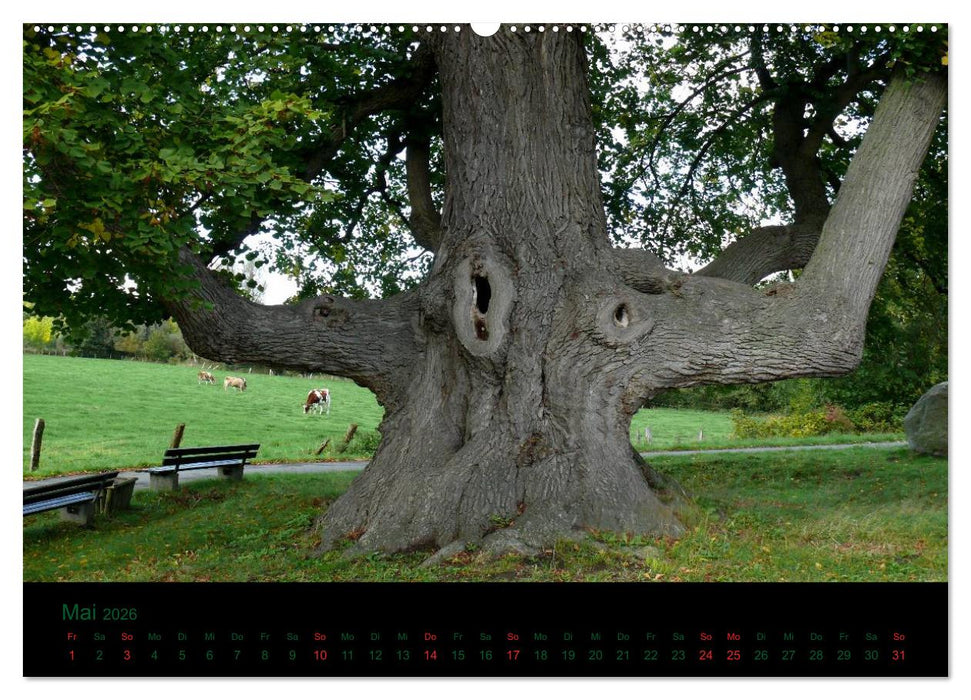 Baumgeflüster (CALVENDO Wandkalender 2026)