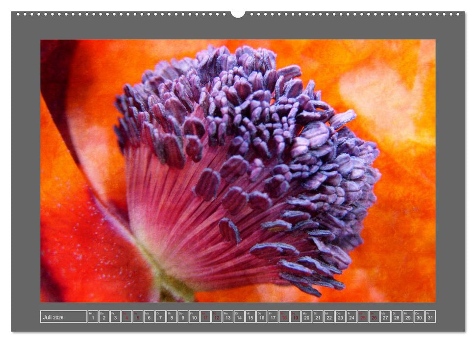 Blumen für dich (CALVENDO Premium Wandkalender 2026)