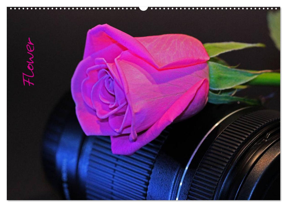 Flower (CALVENDO Wandkalender 2026)