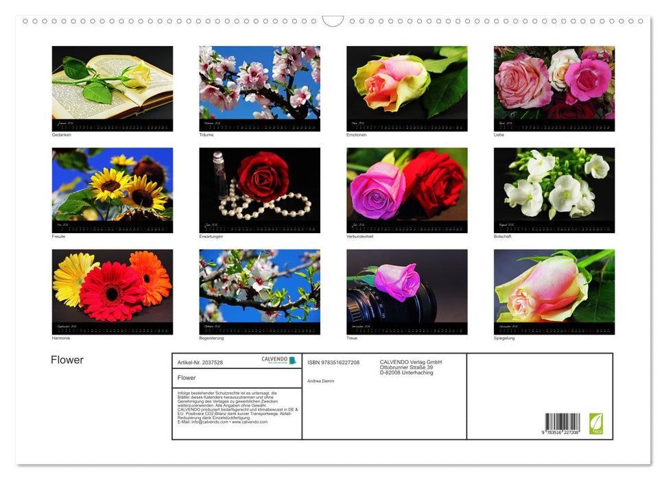 Flower (CALVENDO Wandkalender 2026)