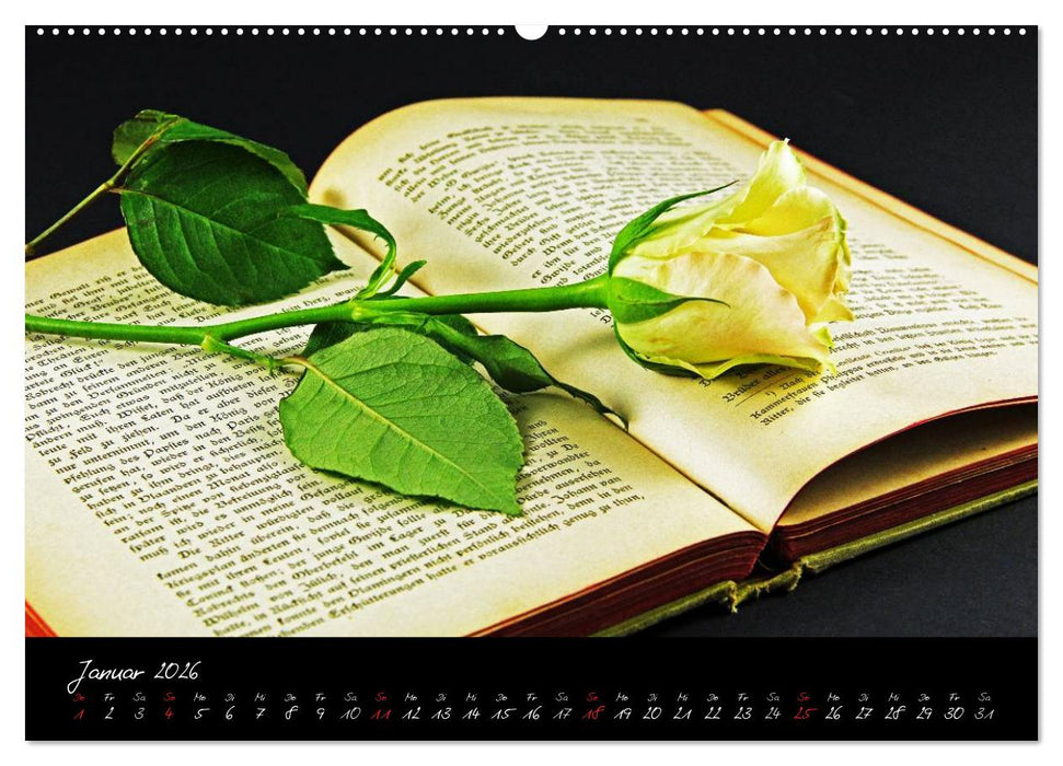 Flower (CALVENDO Wandkalender 2026)