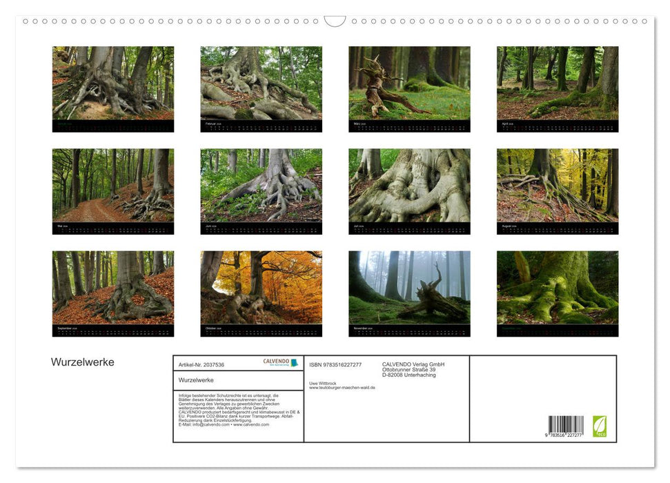 Wurzelwerke (CALVENDO Wandkalender 2026)