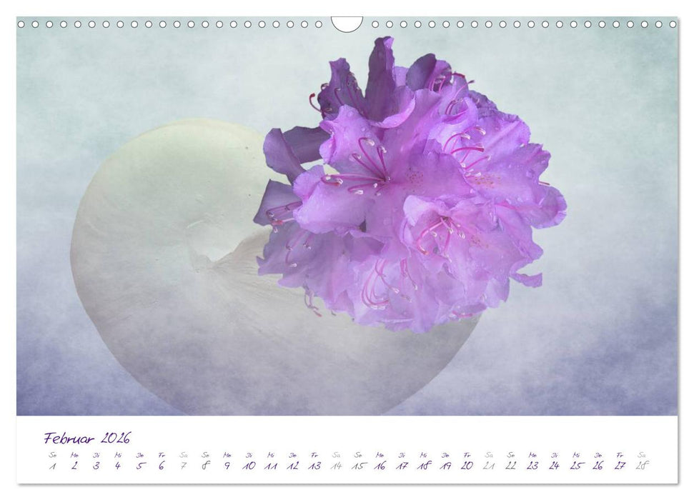 Lila Blüten (CALVENDO Wandkalender 2026)