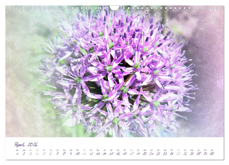 Lila Blüten (CALVENDO Wandkalender 2026)
