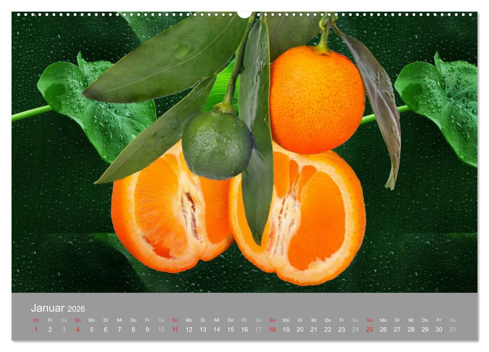Obst (CALVENDO Wandkalender 2026)