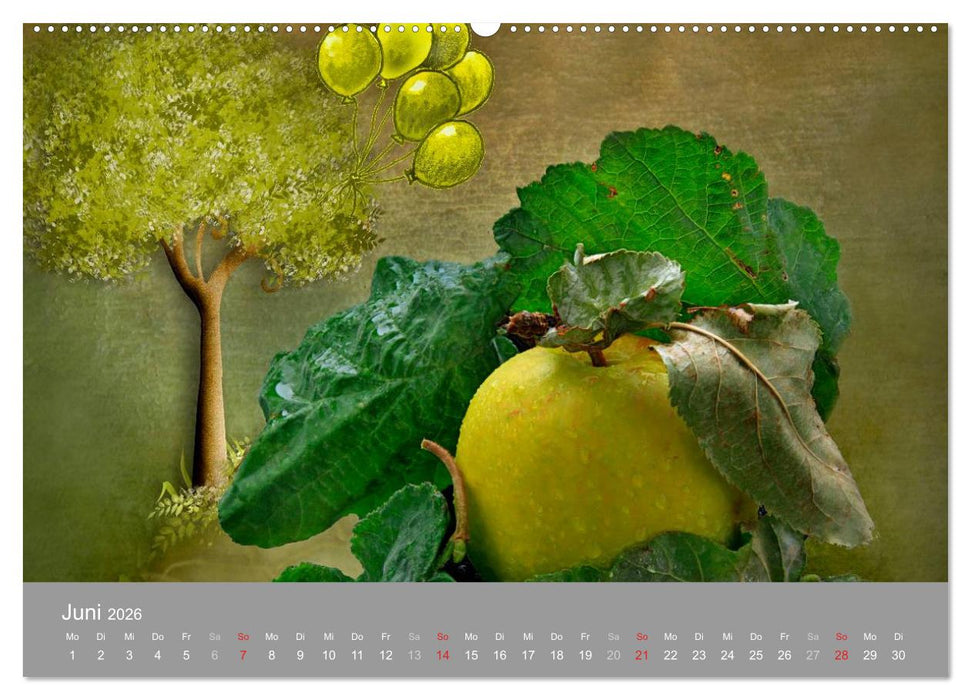 Obst (CALVENDO Wandkalender 2026)