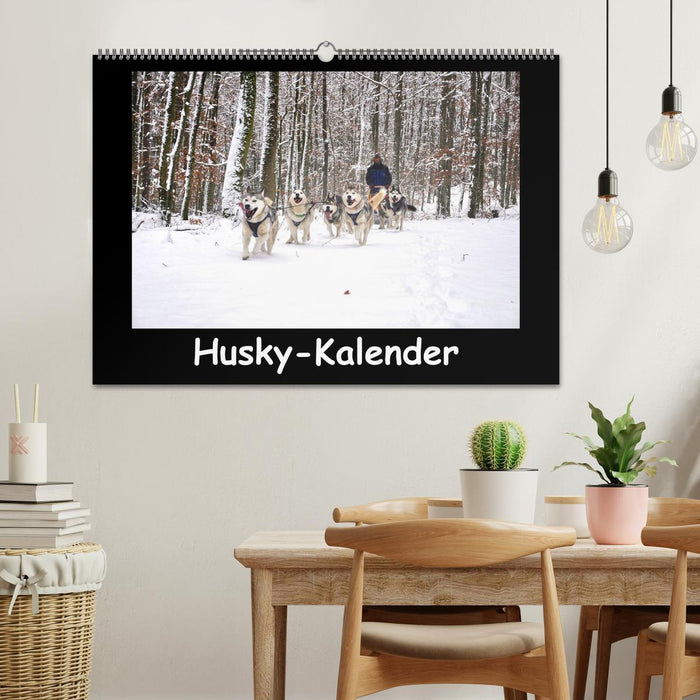 Husky-Kalender (CALVENDO Wandkalender 2026)