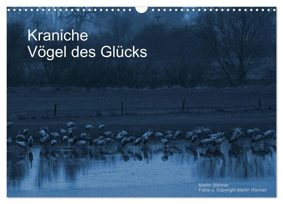 Kraniche (CALVENDO Wandkalender 2026)