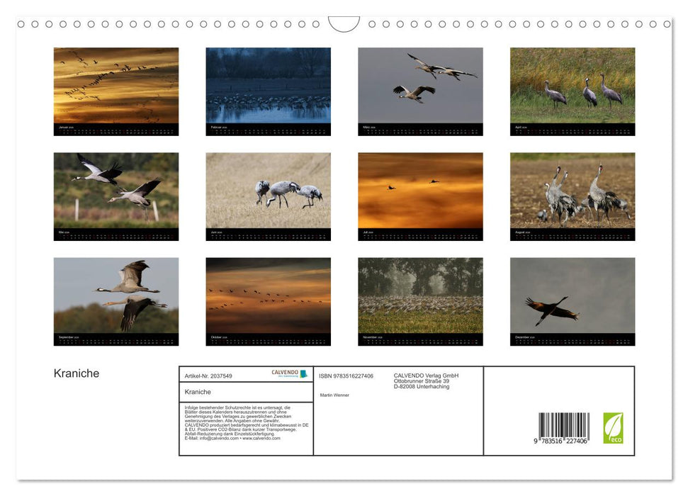 Kraniche (CALVENDO Wandkalender 2026)