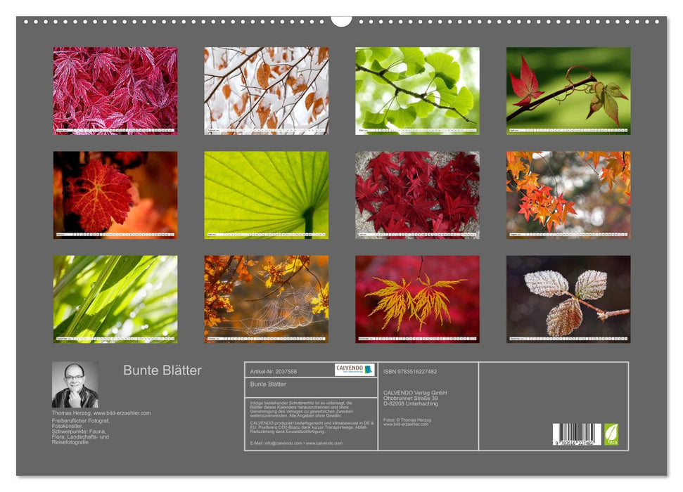 Bunte Blätter (CALVENDO Wandkalender 2026)