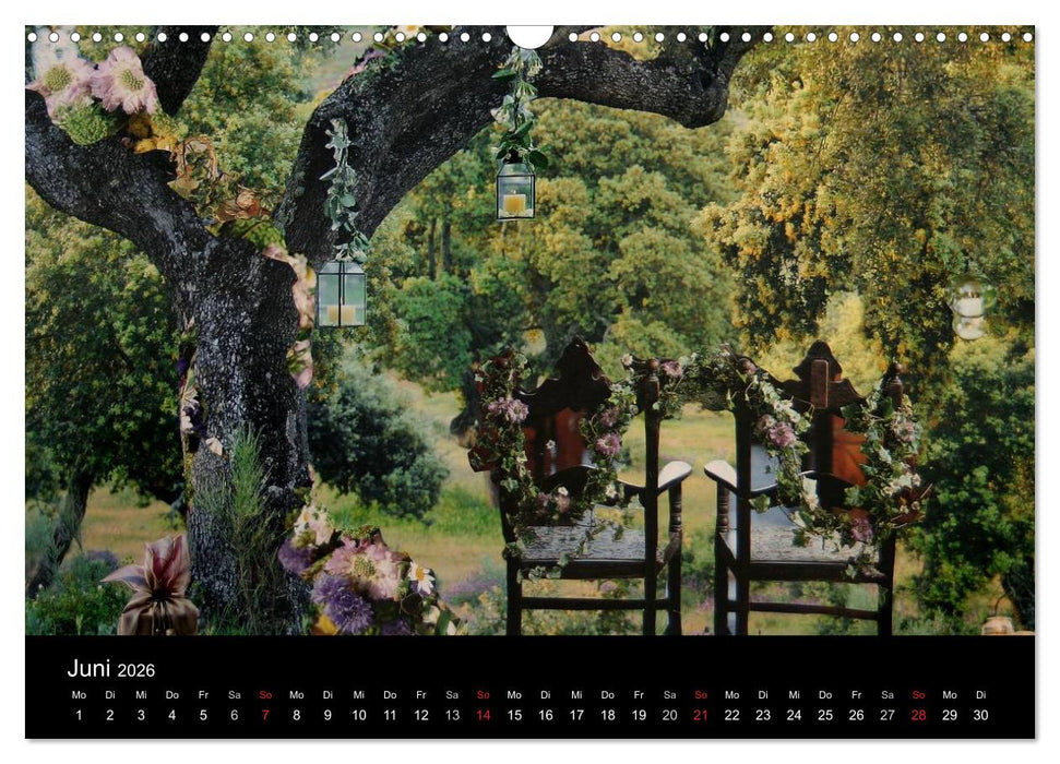 Zauberland (CALVENDO Wandkalender 2026)