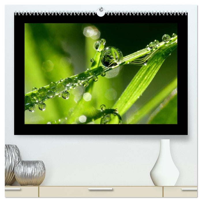 Meine kleine grüne Wassertropfen Welt (CALVENDO Premium Wandkalender 2026)