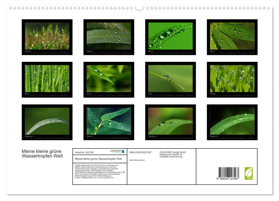 Meine kleine grüne Wassertropfen Welt (CALVENDO Premium Wandkalender 2026)