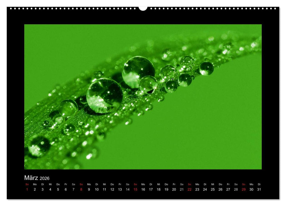 Meine kleine grüne Wassertropfen Welt (CALVENDO Premium Wandkalender 2026)