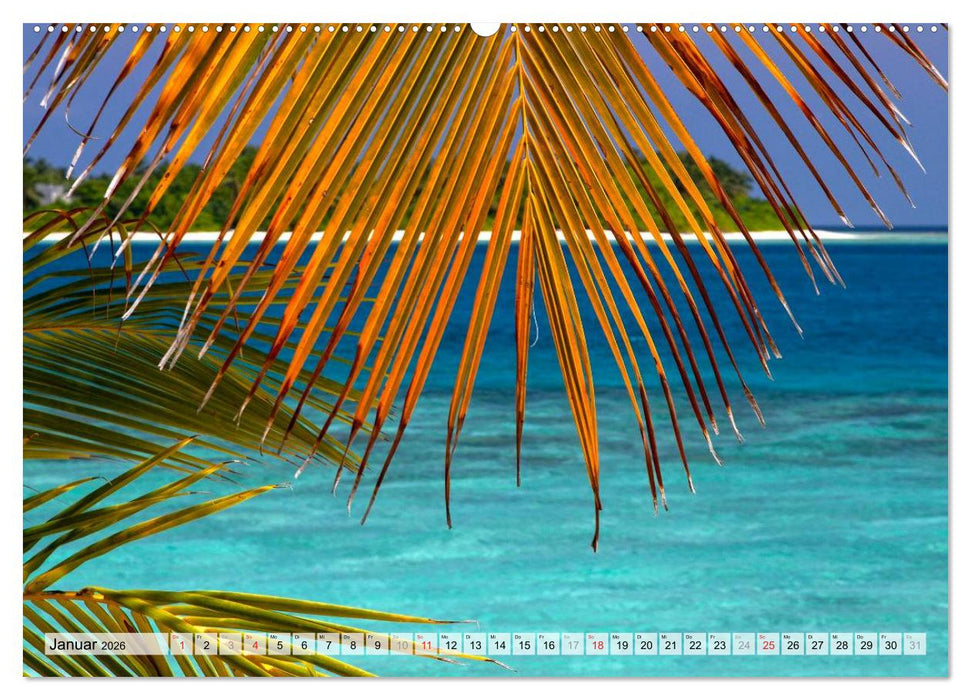 MALEDIVEN (CALVENDO Wandkalender 2026)