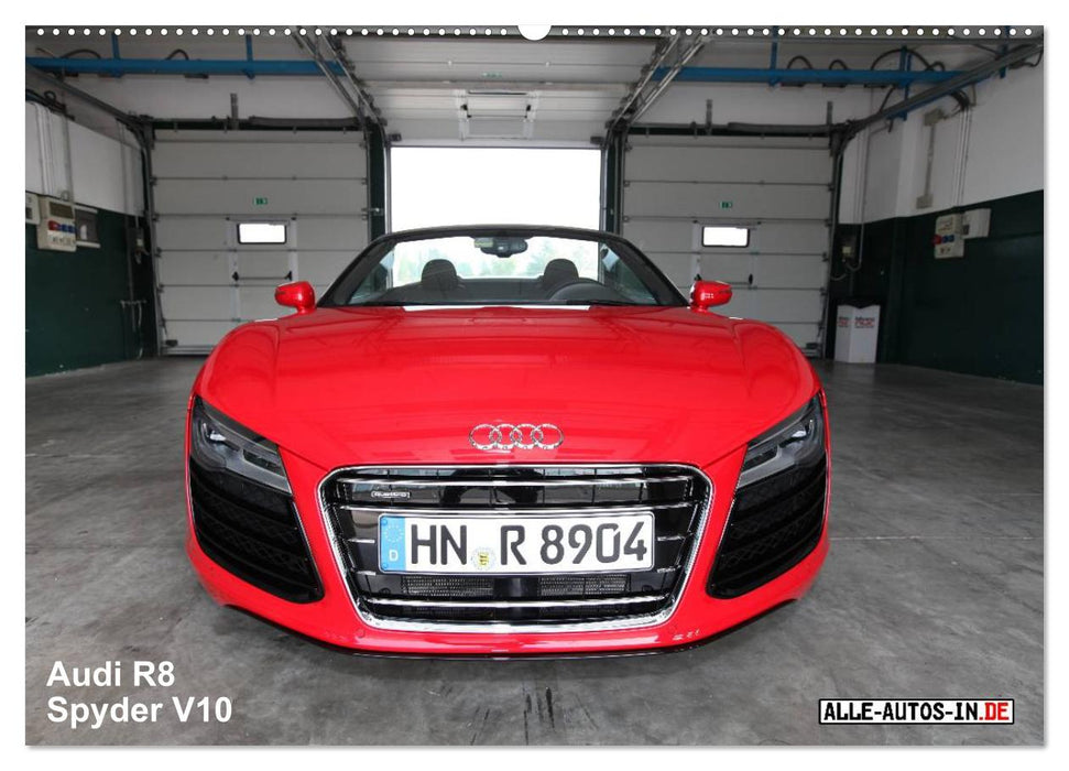 Vollblut-Sportler (CALVENDO Wandkalender 2026)