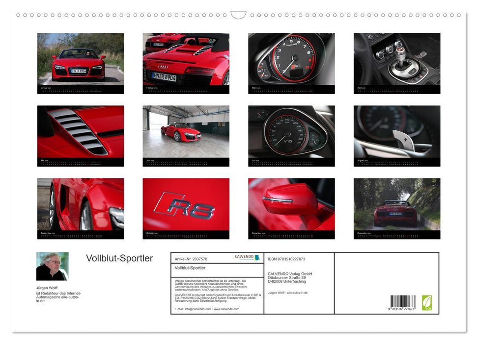 Vollblut-Sportler (CALVENDO Wandkalender 2026)