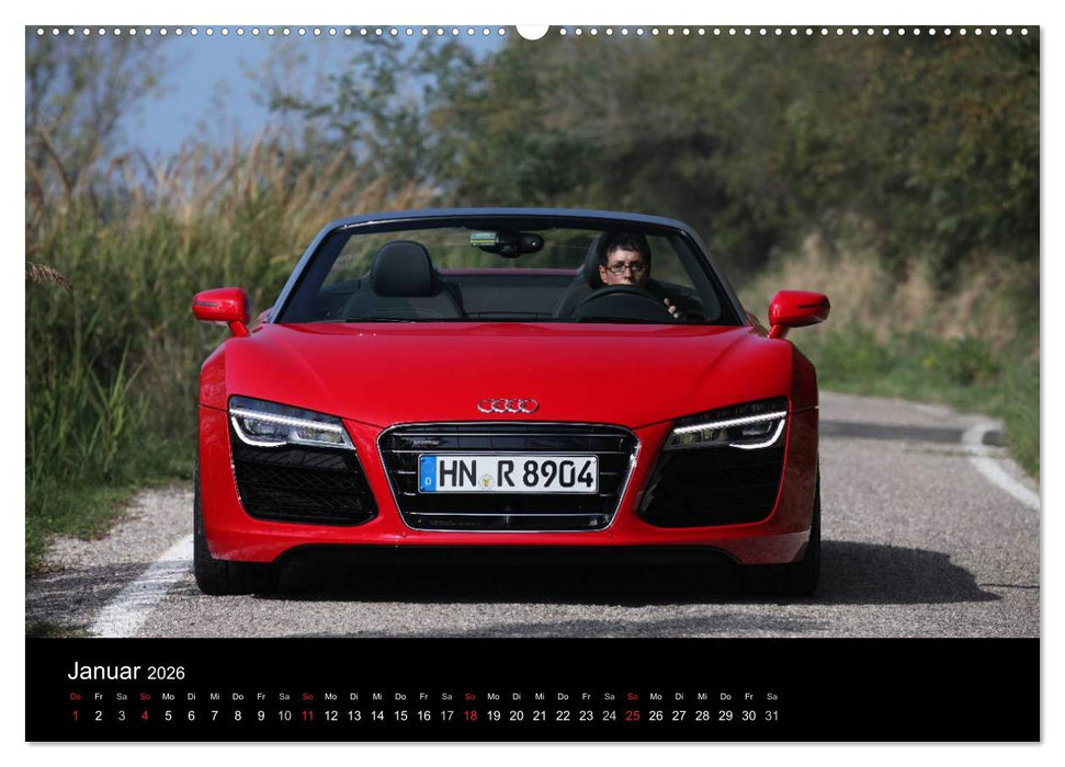 Vollblut-Sportler (CALVENDO Wandkalender 2026)