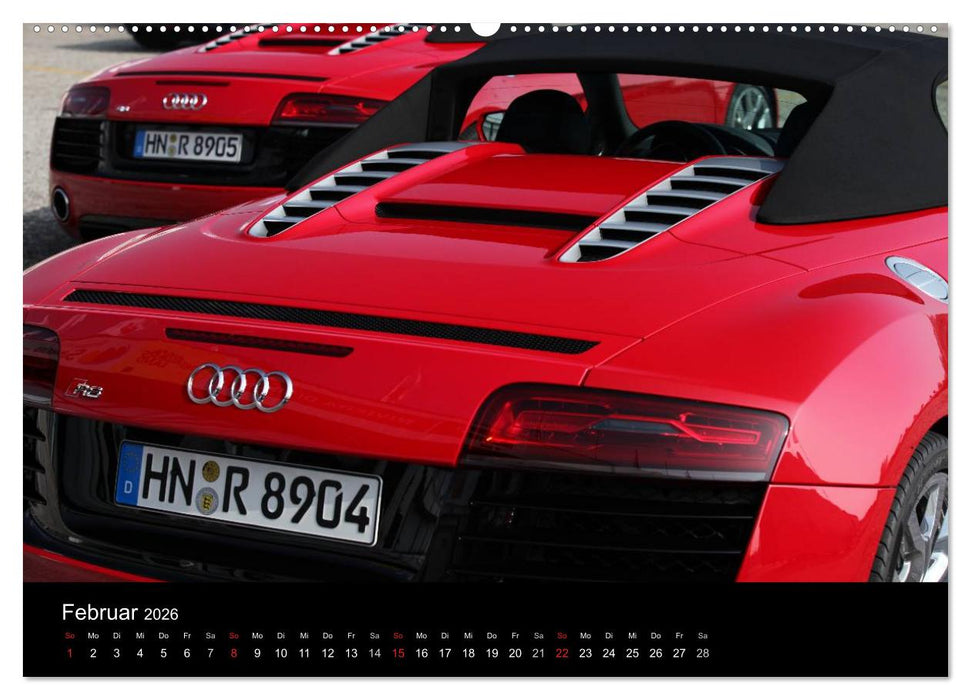 Vollblut-Sportler (CALVENDO Wandkalender 2026)