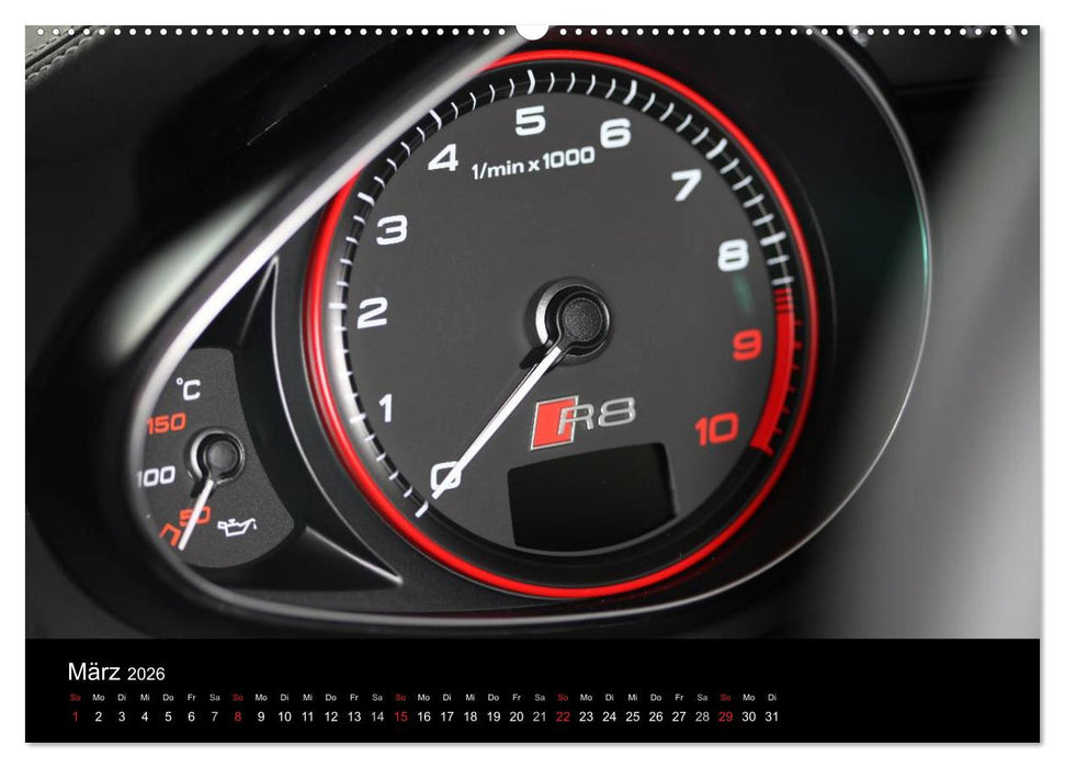 Vollblut-Sportler (CALVENDO Wandkalender 2026)