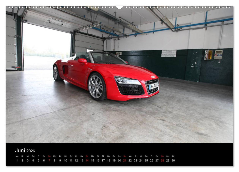 Vollblut-Sportler (CALVENDO Wandkalender 2026)