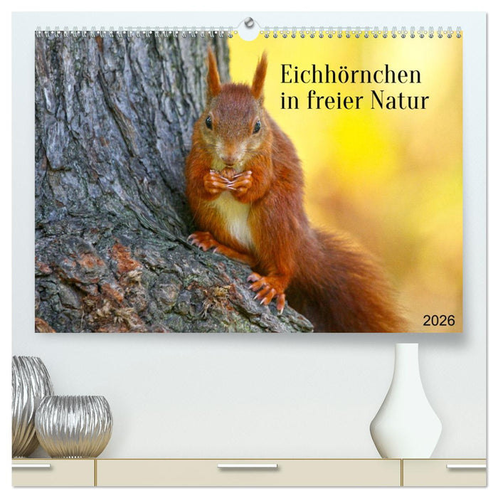 Eichhörnchen in freier Natur (CALVENDO Premium Wandkalender 2026)