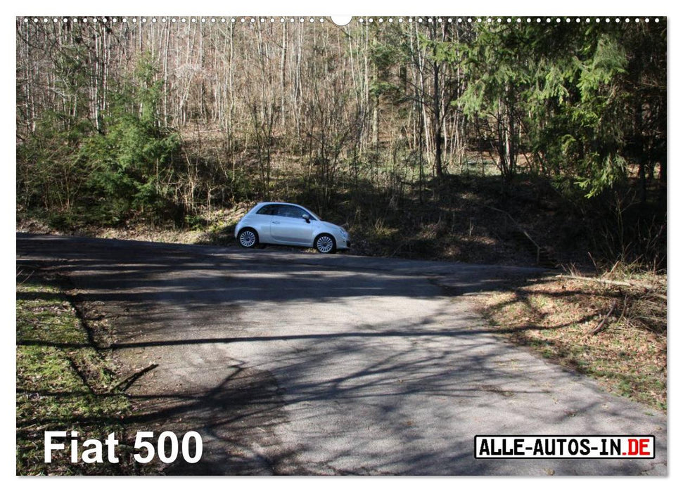 Halbling (CALVENDO Wandkalender 2026)