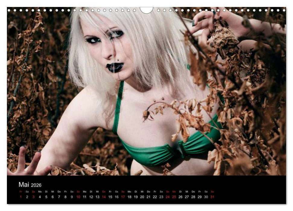 Dessous (CALVENDO Wandkalender 2026)
