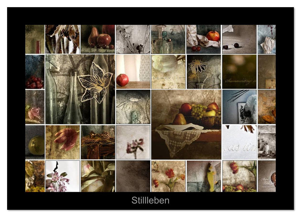 Stillleben (CALVENDO Wandkalender 2026)