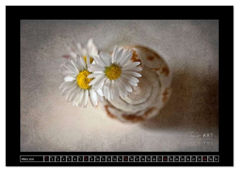 Stillleben (CALVENDO Wandkalender 2026)