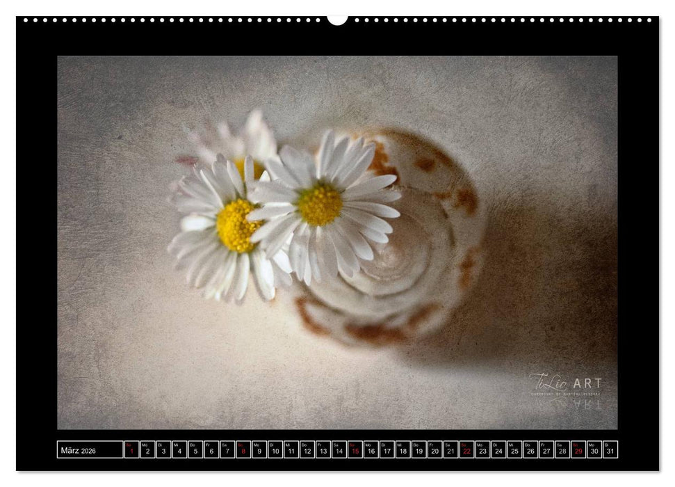 Stillleben (CALVENDO Wandkalender 2026)