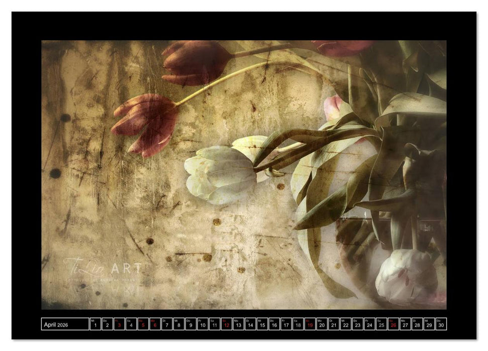 Stillleben (CALVENDO Wandkalender 2026)