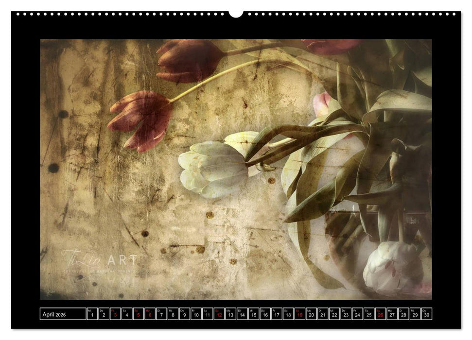 Stillleben (CALVENDO Wandkalender 2026)