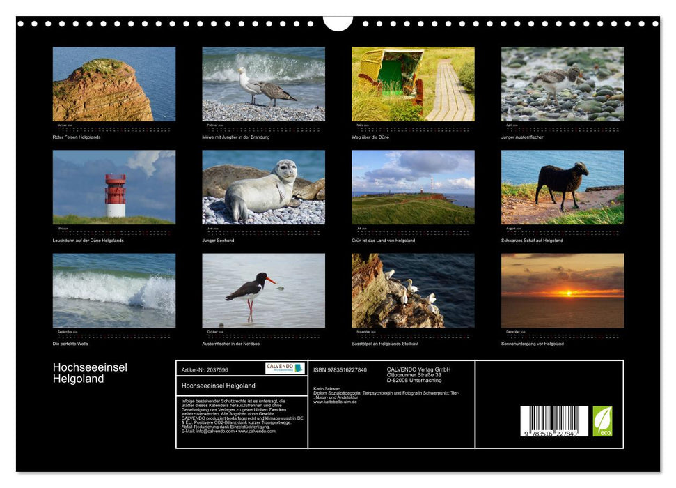 Hochseeeinsel Helgoland (CALVENDO Wandkalender 2026)